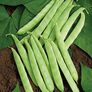 Dulcina, Bean Seeds - Packet thumbnail number null
